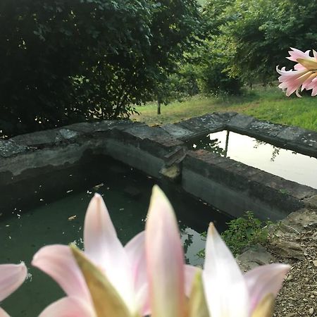 Relax Nella Natura Bolano Eksteriør billede