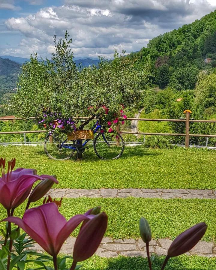Relax Nella Natura Bolano Eksteriør billede